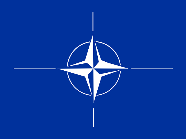 Ukraine has been given an official role in the NATO Internet Center